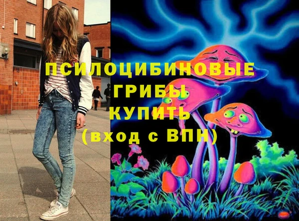 mix Бородино